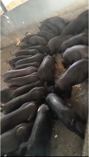 微信截图_20260324095703.jpg 微信截图_20260324095703.jpg