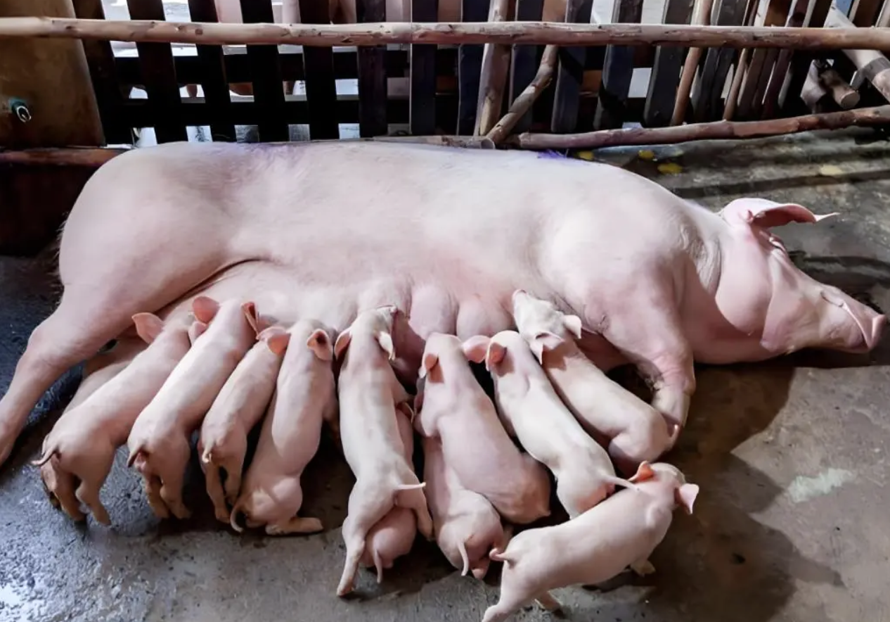 截屏2026-03-24 14.39.05.png 截屏2026-03-24 14.39.05.png