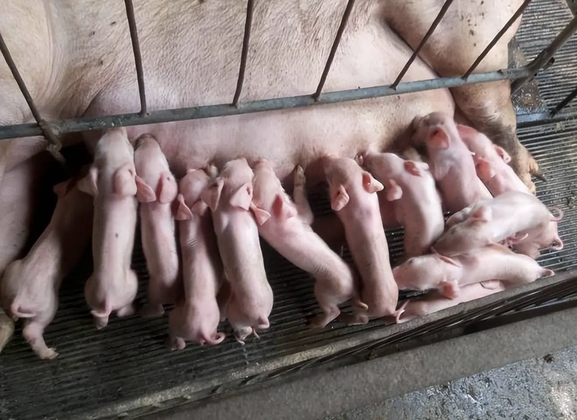 截屏2026-03-24 14.43.46.png 截屏2026-03-24 14.43.46.png