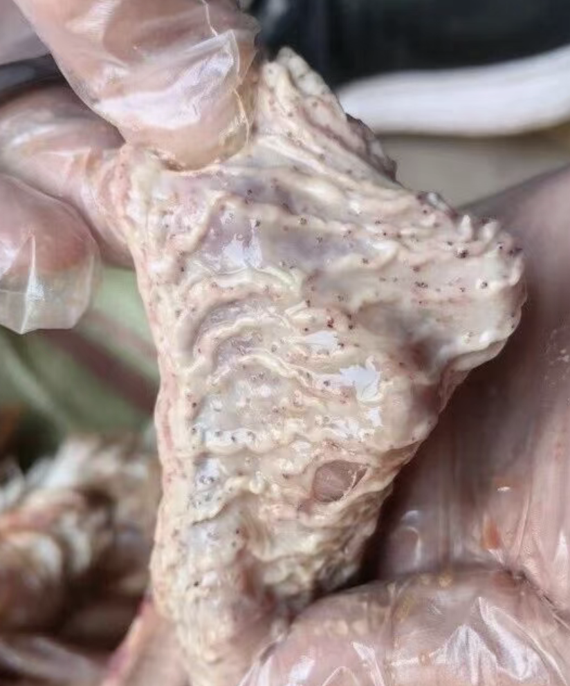 截屏2026-03-24 15.24.42.png 截屏2026-03-24 15.24.42.png