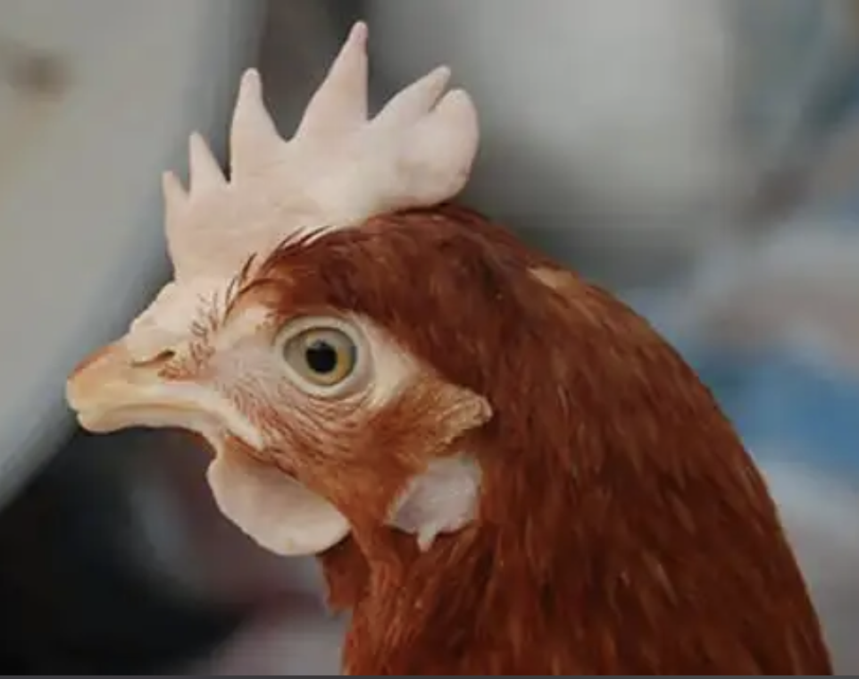 截屏2026-03-24 15.34.24.png 截屏2026-03-24 15.34.24.png