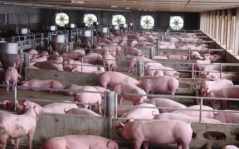 QQ浏览器截图20241104100601.png QQ浏览器截图20241104100601.png