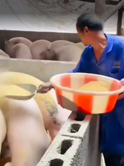 截图20260325094915.png 截图20260325094915.png