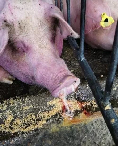 微信图片_20260325095929.jpg 微信图片_20260325095929.jpg