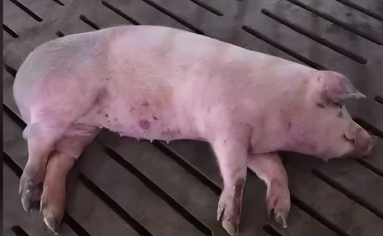 截屏2026-03-25 10.51.14.png 截屏2026-03-25 10.51.14.png