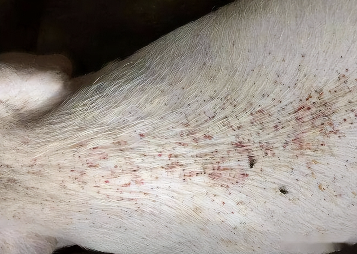 截屏2026-03-25 10.55.56.png 截屏2026-03-25 10.55.56.png