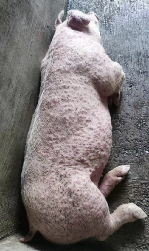 截屏2026-03-25 10.59.49.png 截屏2026-03-25 10.59.49.png