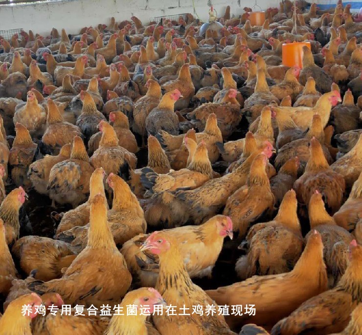 1679249986902677.jpg 1679249986902677.jpg