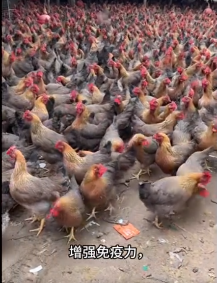 截图20260326093849.png 截图20260326093849.png