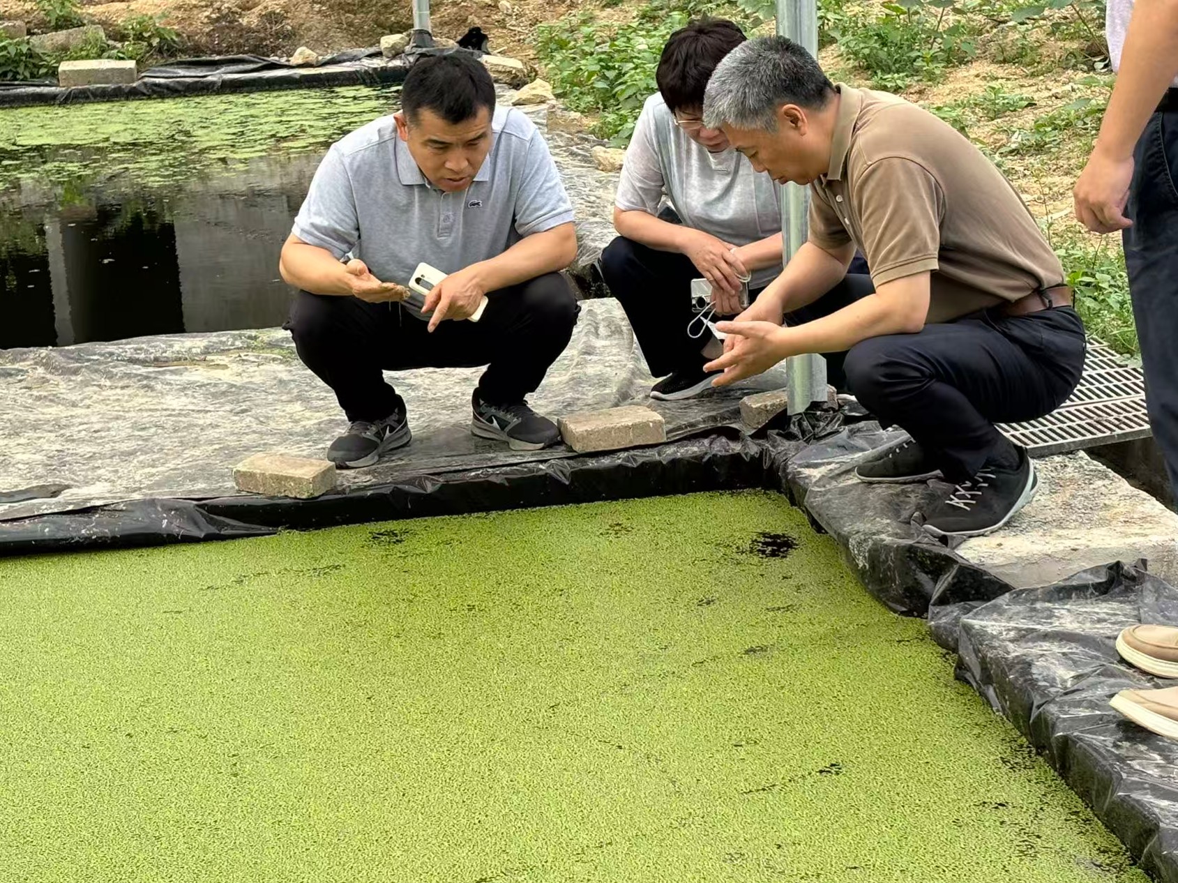 赵海老师莅临广西助农生态养殖基地调研3.jpg 赵海老师莅临广西助农生态养殖基地调研3.jpg