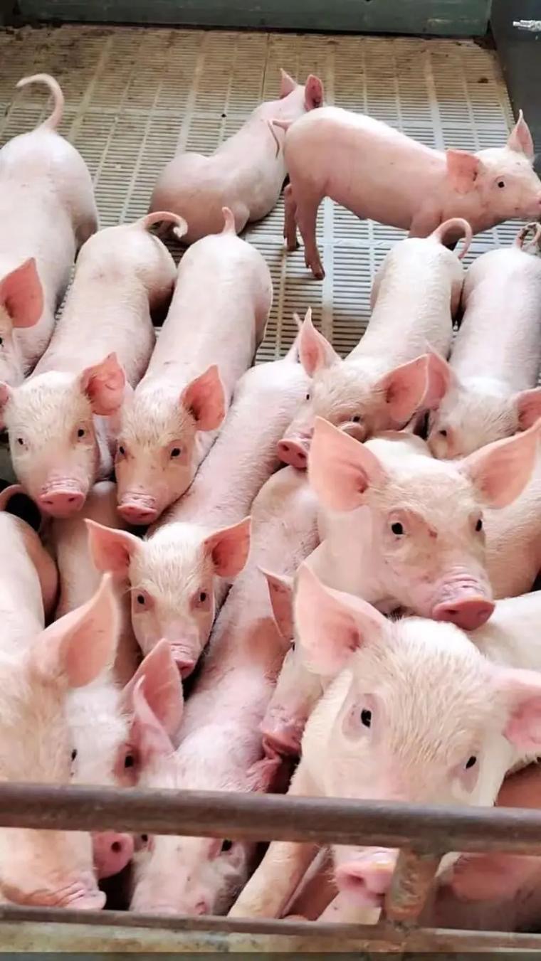 微信图片_20260327093744.jpg 微信图片_20260327093744.jpg