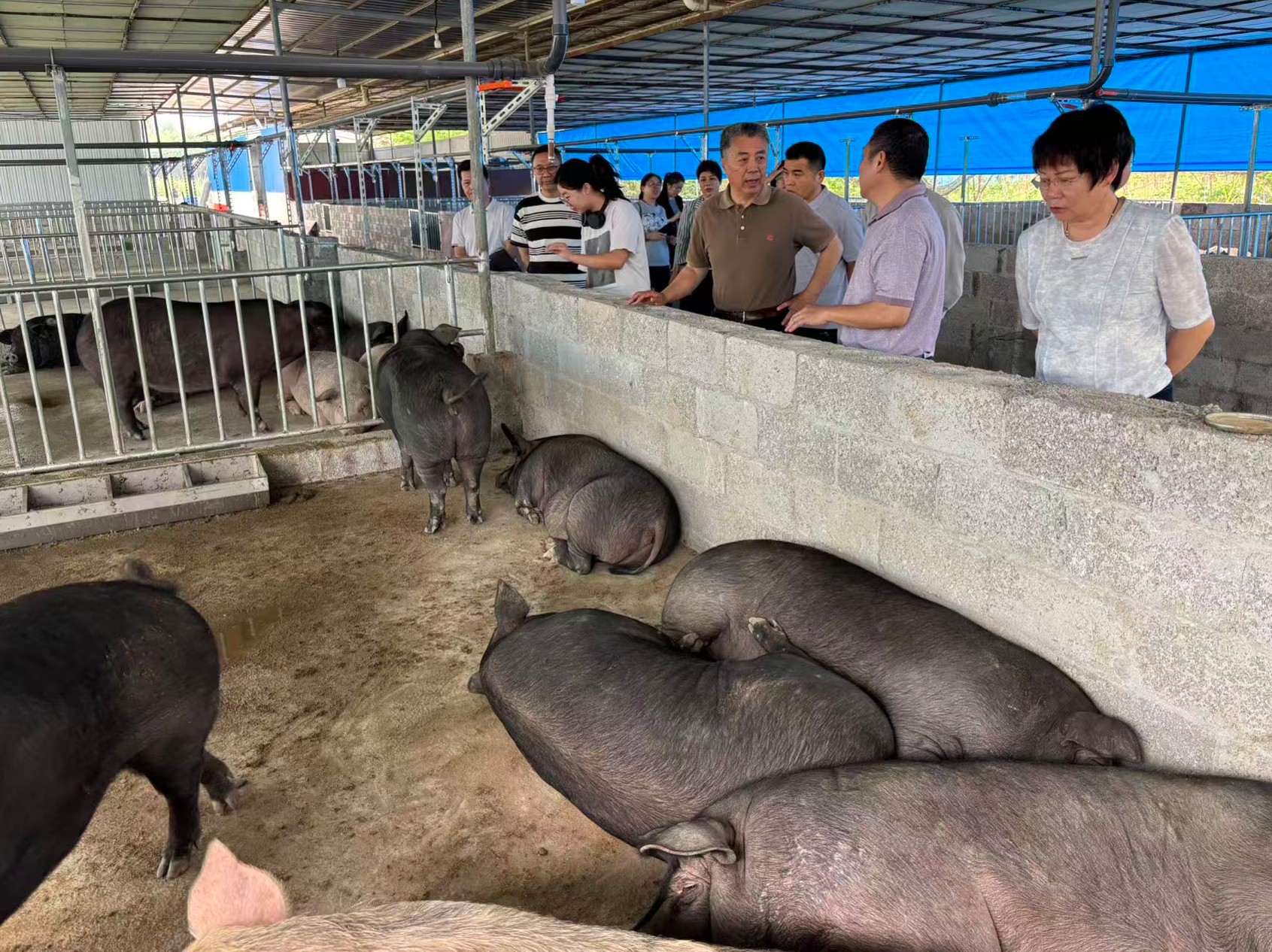 赵海老师莅临广西助农生态养殖基地调研8.jpg 赵海老师莅临广西助农生态养殖基地调研8.jpg