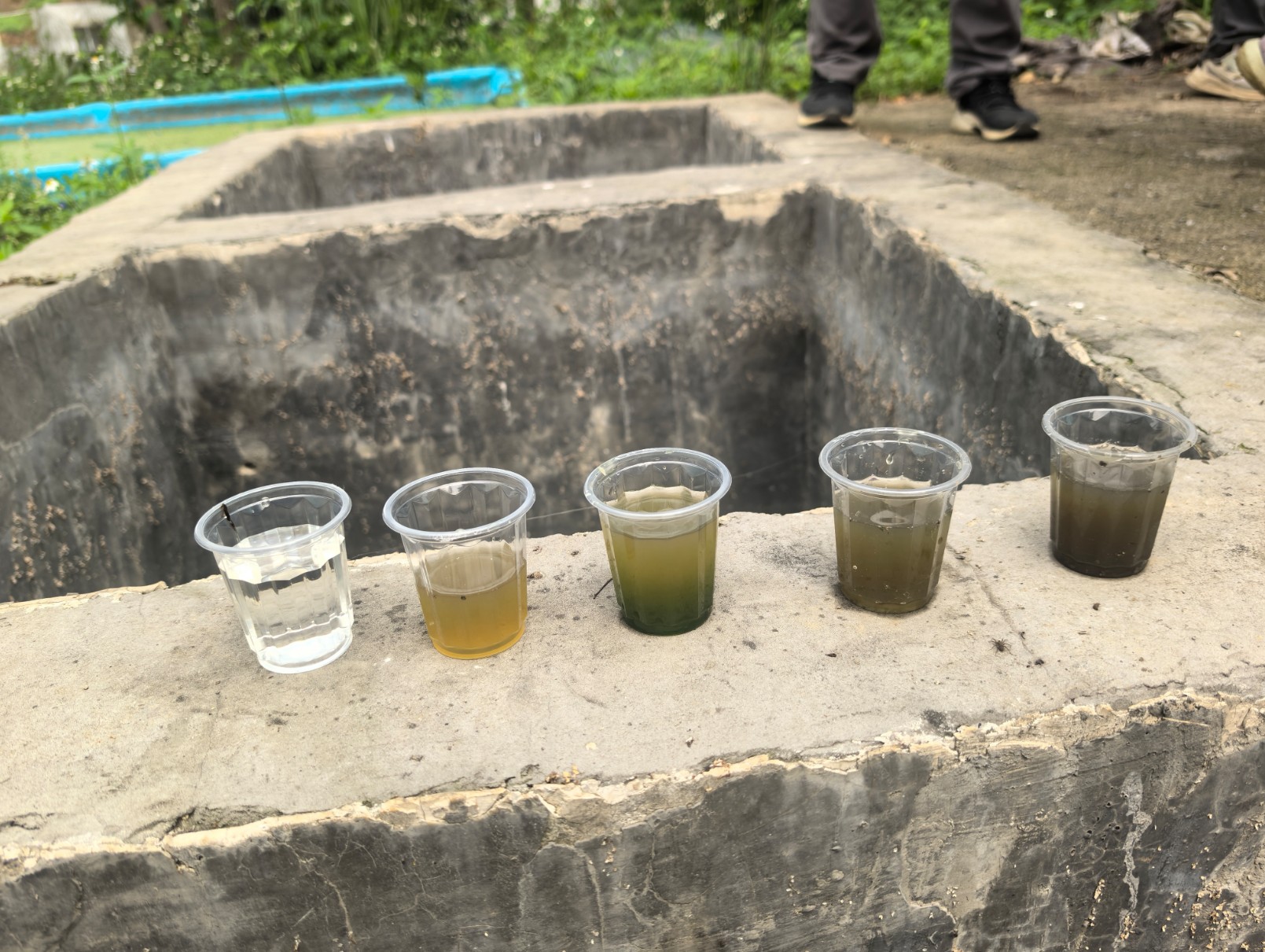 赵海老师莅临广西助农生态养殖基地调研9.jpg 赵海老师莅临广西助农生态养殖基地调研9.jpg