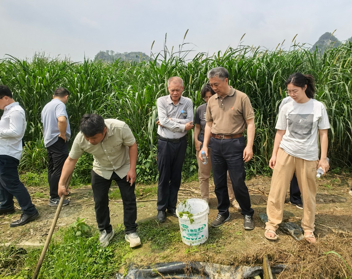 赵海老师莅临广西助农生态养殖基地调研10.jpg 赵海老师莅临广西助农生态养殖基地调研10.jpg