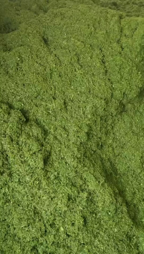 84F8E2E4274F83A5C980467F34A3AF4C.png 84F8E2E4274F83A5C980467F34A3AF4C.png