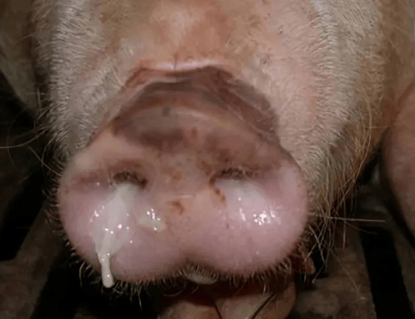 微信截图_20260330091337.jpg 微信截图_20260330091337.jpg