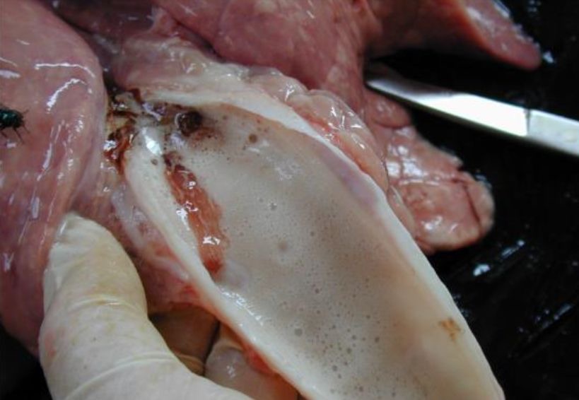 微信图片_20260330091320.jpg 微信图片_20260330091320.jpg