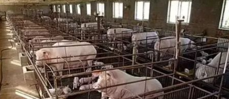 QQ图片20260330101238.png QQ图片20260330101238.png