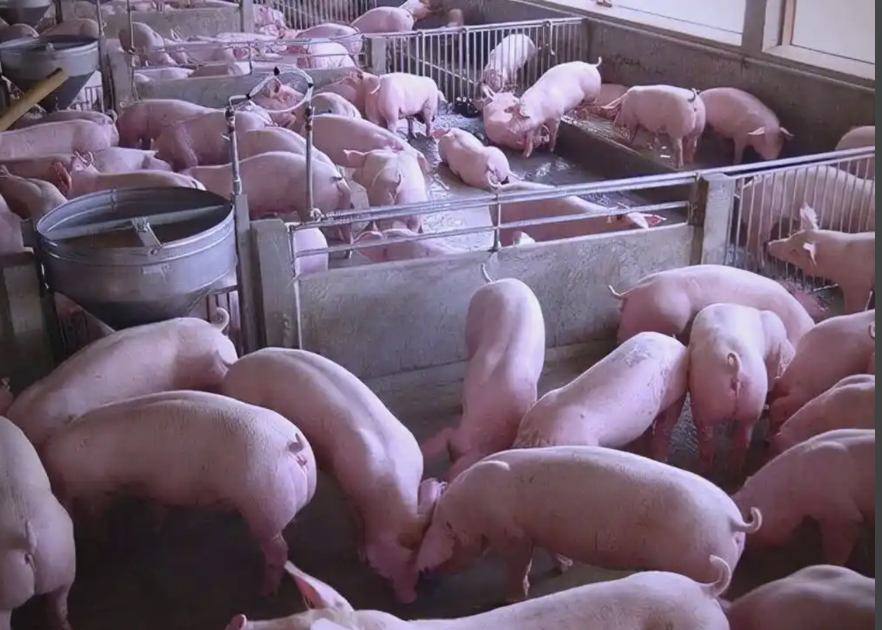 截屏2026-03-30 10.55.15.png 截屏2026-03-30 10.55.15.png