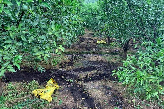 截图20260331104918.png 截图20260331104918.png