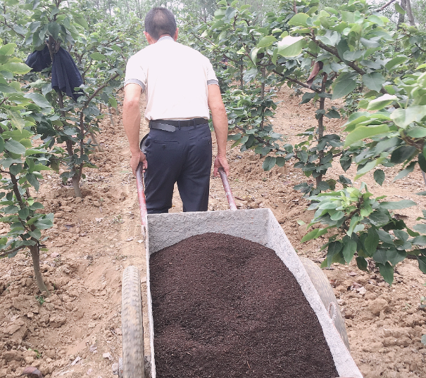 截图20260331105100.png 截图20260331105100.png