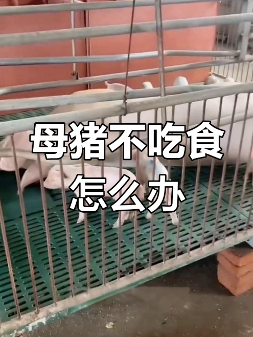 微信截图_20260401090955.jpg 微信截图_20260401090955.jpg