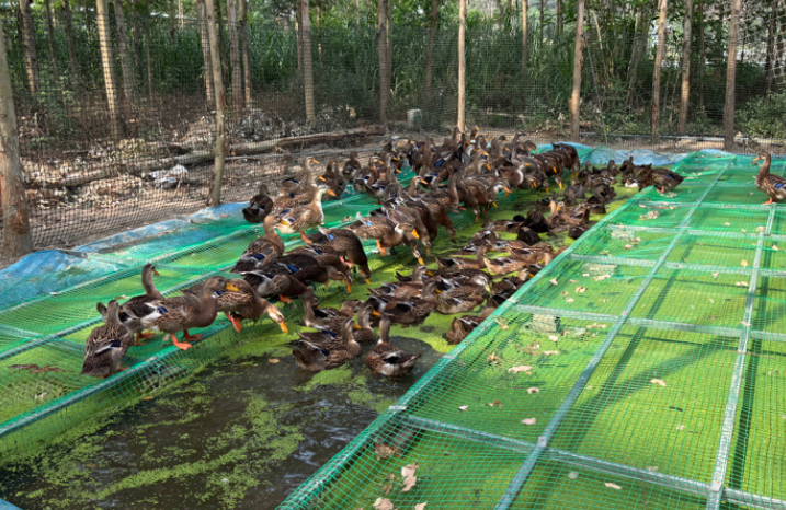 61e92c95e53b0433a2bb80cb93ceb0d5_17739721521721082.png 61e92c95e53b0433a2bb80cb93ceb0d5_17739721521721082.png