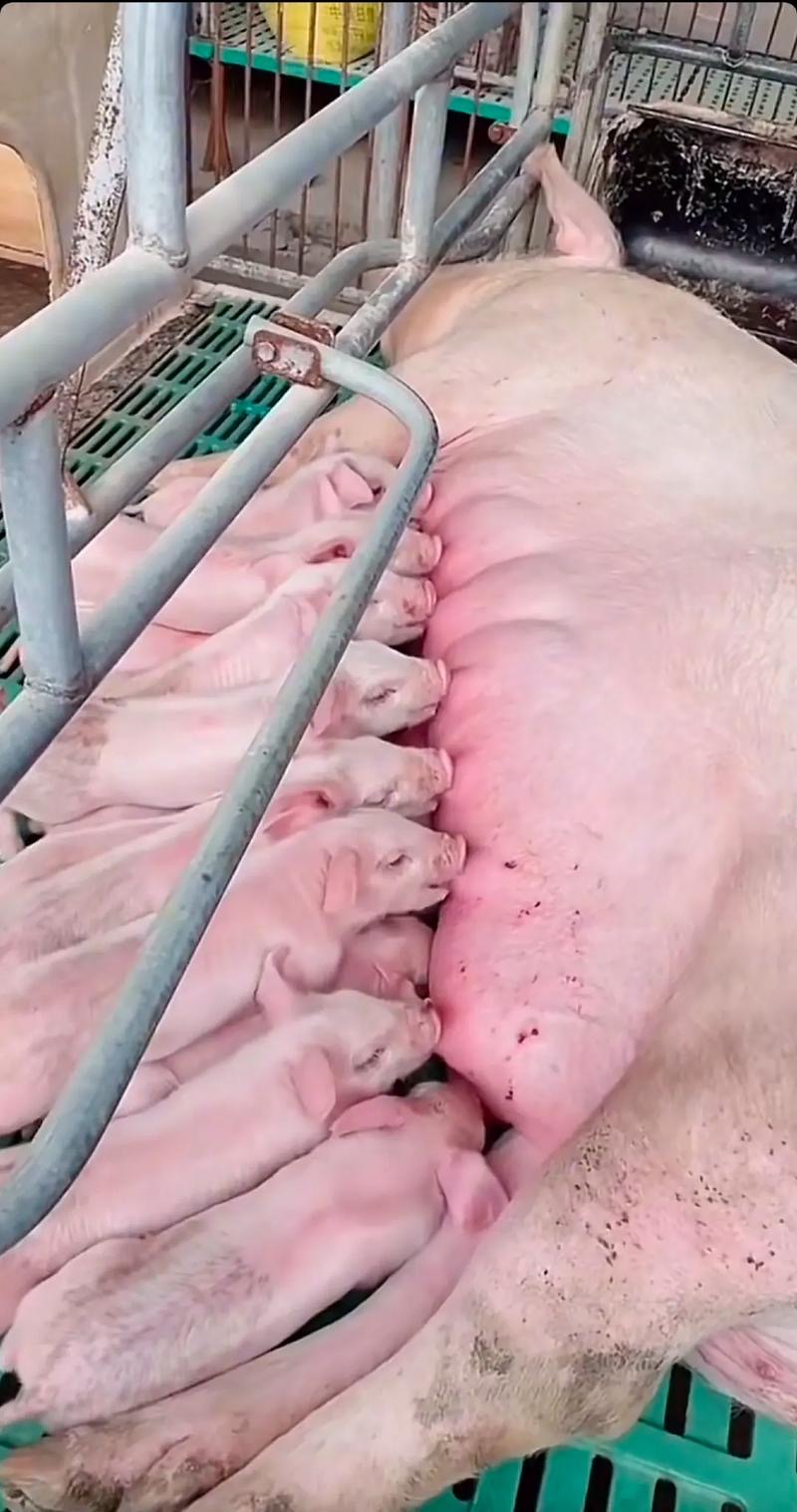 微信图片_20260401090938.jpg 微信图片_20260401090938.jpg