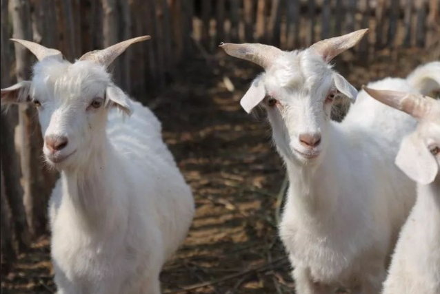 截图20260401094052.png 截图20260401094052.png