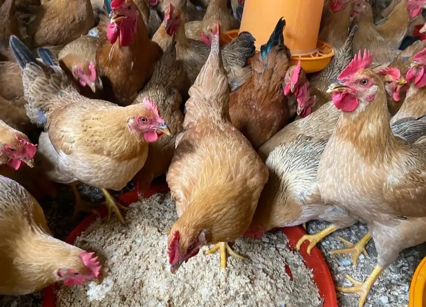 截图20260401145620.png 截图20260401145620.png