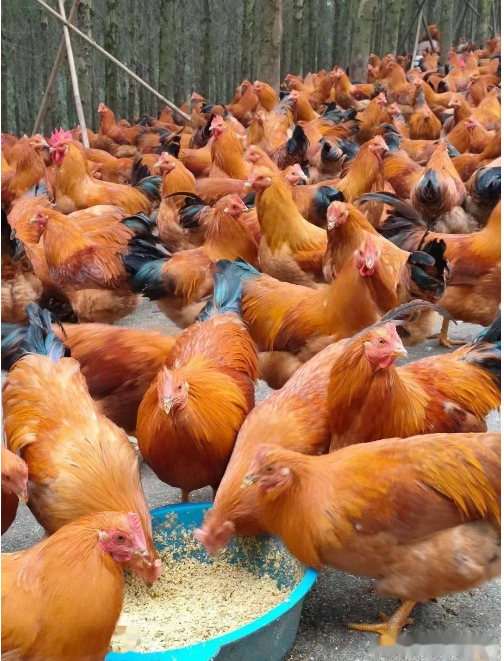 截图20260401145937.png 截图20260401145937.png