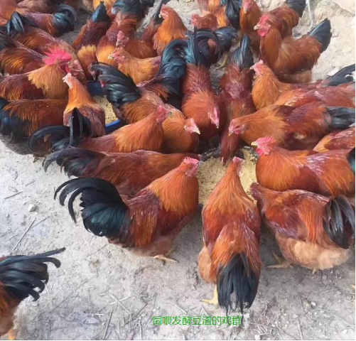 截图20260401145949.png 截图20260401145949.png