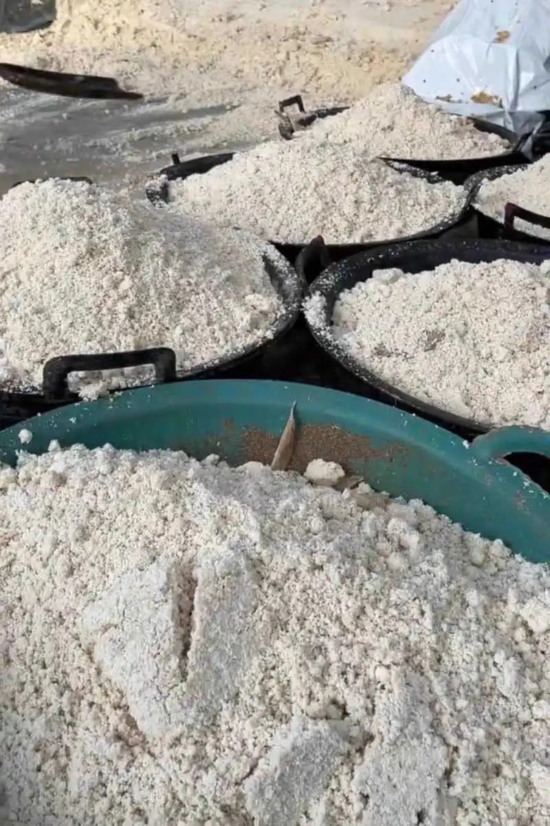 微信图片_20260402094511_120_11.jpg 微信图片_20260402094511_120_11.jpg