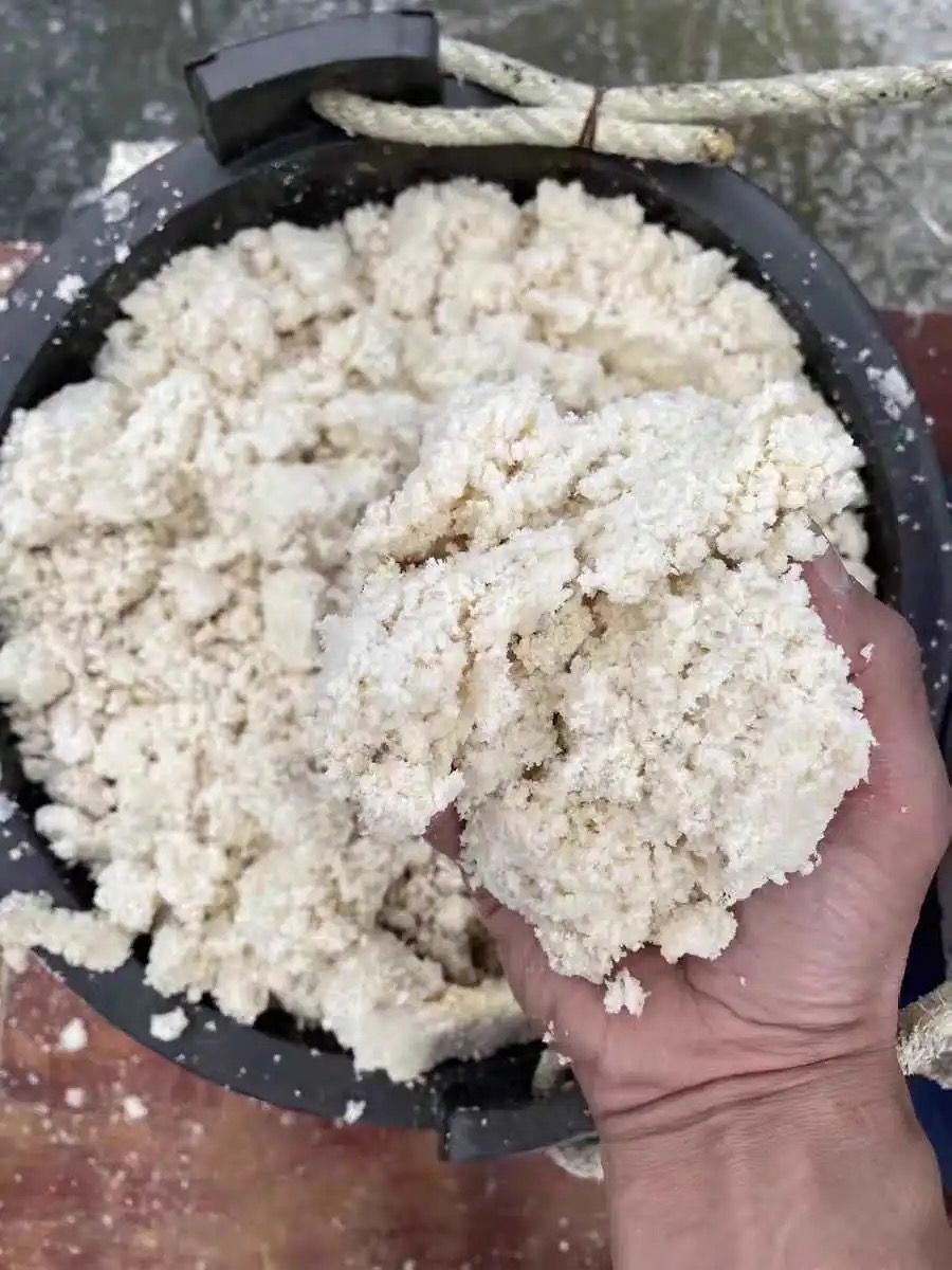 微信图片_20260402094514_123_11.jpg 微信图片_20260402094514_123_11.jpg