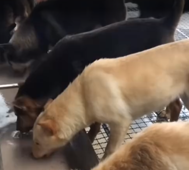 截图20260402094959.png 截图20260402094959.png