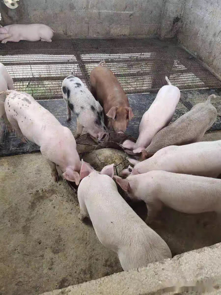 QQ图片20260402153409.jpg QQ图片20260402153409.jpg