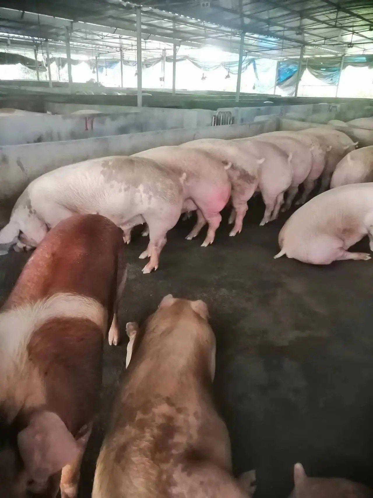 QQ图片20260402153422.jpg QQ图片20260402153422.jpg