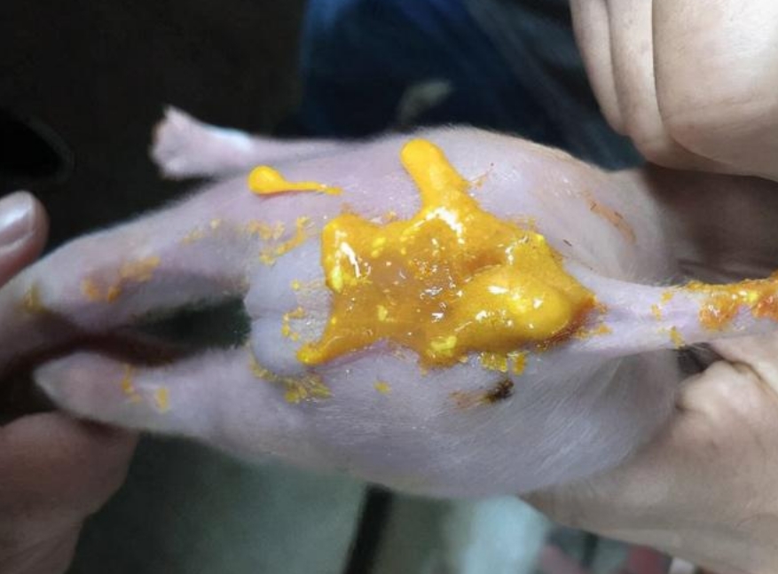 微信截图_20260407093933.jpg 微信截图_20260407093933.jpg