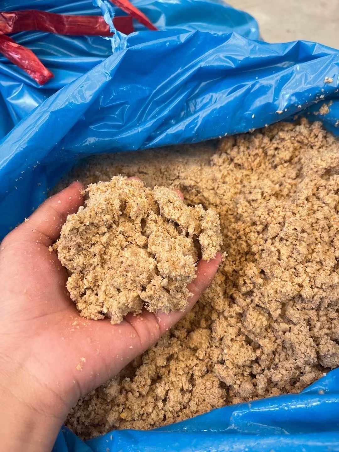 17337079577458555.jpg 17337079577458555.jpg