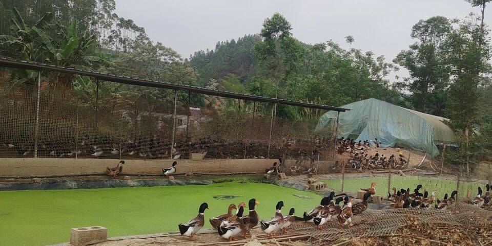 e30f7d24d475a7802eb6feac064b9759_720.jpg e30f7d24d475a7802eb6feac064b9759_720.jpg