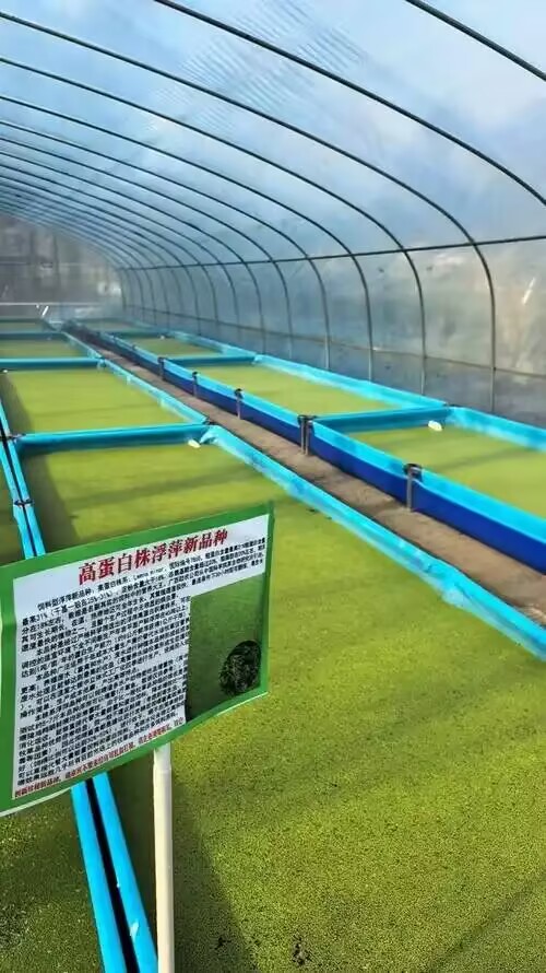 e001fb6140ff7e9c204113577844b4d4.jpg e001fb6140ff7e9c204113577844b4d4.jpg