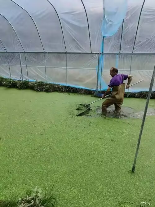 164679d1dbabdd26539e07000267a337.jpg 164679d1dbabdd26539e07000267a337.jpg