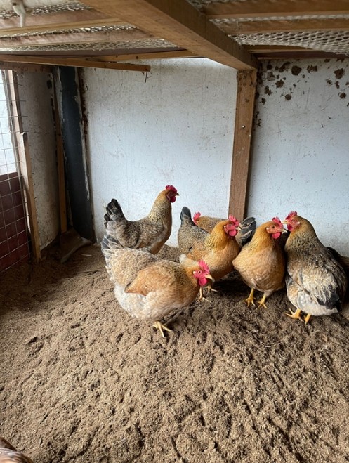 17732809341279157.jpg 17732809341279157.jpg