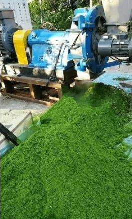 1655174550669445.jpg 1655174550669445.jpg