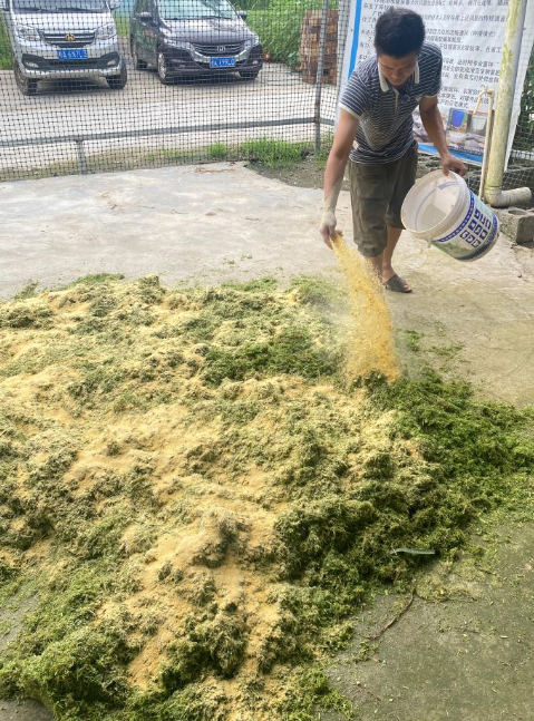 17545538306721098.png 17545538306721098.png