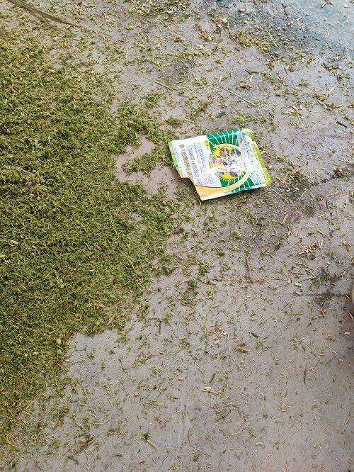 4936d0dd801f80dc1834d6360b1c10d1_720.jpg 4936d0dd801f80dc1834d6360b1c10d1_720.jpg