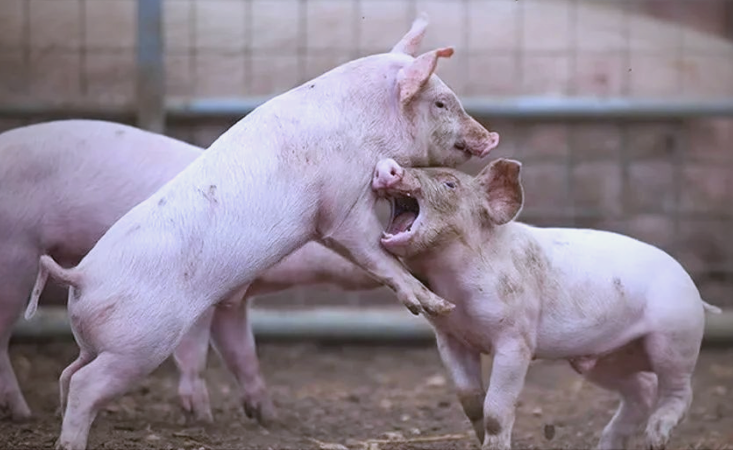 截屏2026-04-13 15.48.45.png