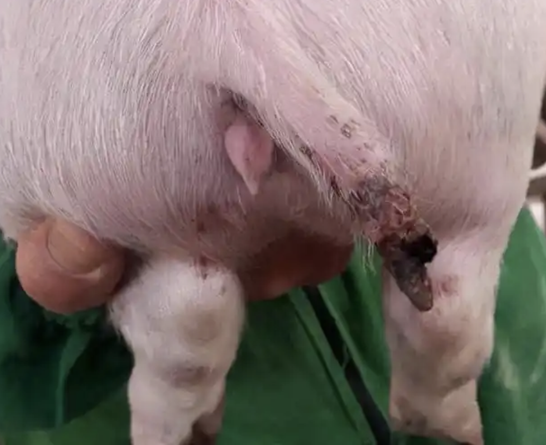 截屏2026-04-13 15.47.40.png