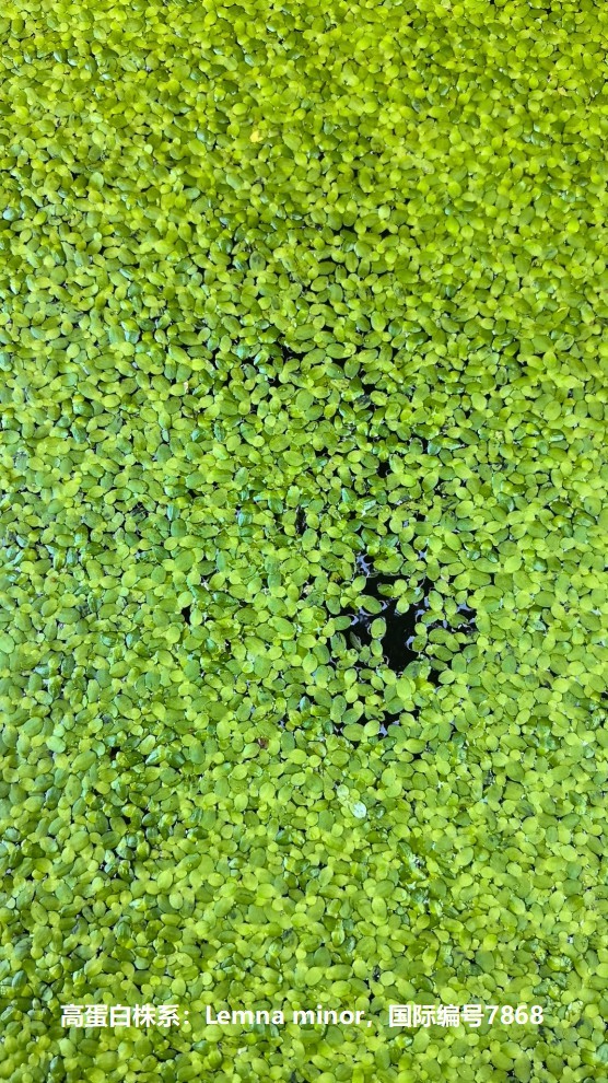 17587849127742826 (1).jpg