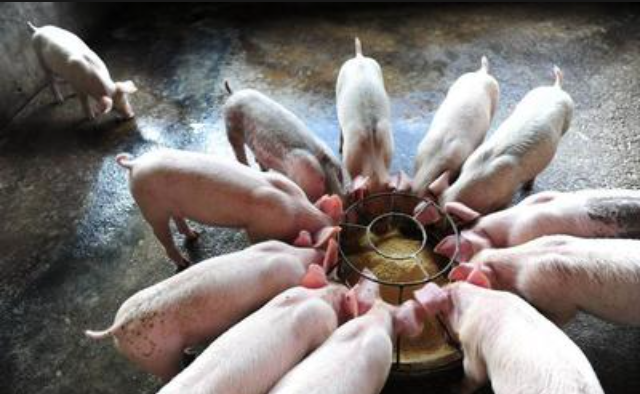 截图20260430100220.png